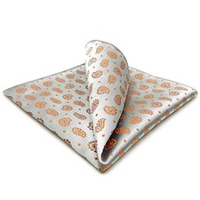Foulard Mens Pocket Squares Silver Orange Paisley for Party