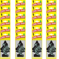 Little Trees Blackberry Clove Scent Car  Home Air Fresheners, Pack of 24