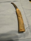 Antique Farrier’s Hoof Knife With Bone Handle — photo 4