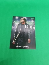 2025 Topps Series 1 Celebration James Wood RC Gameday Drip Insert #GD-3