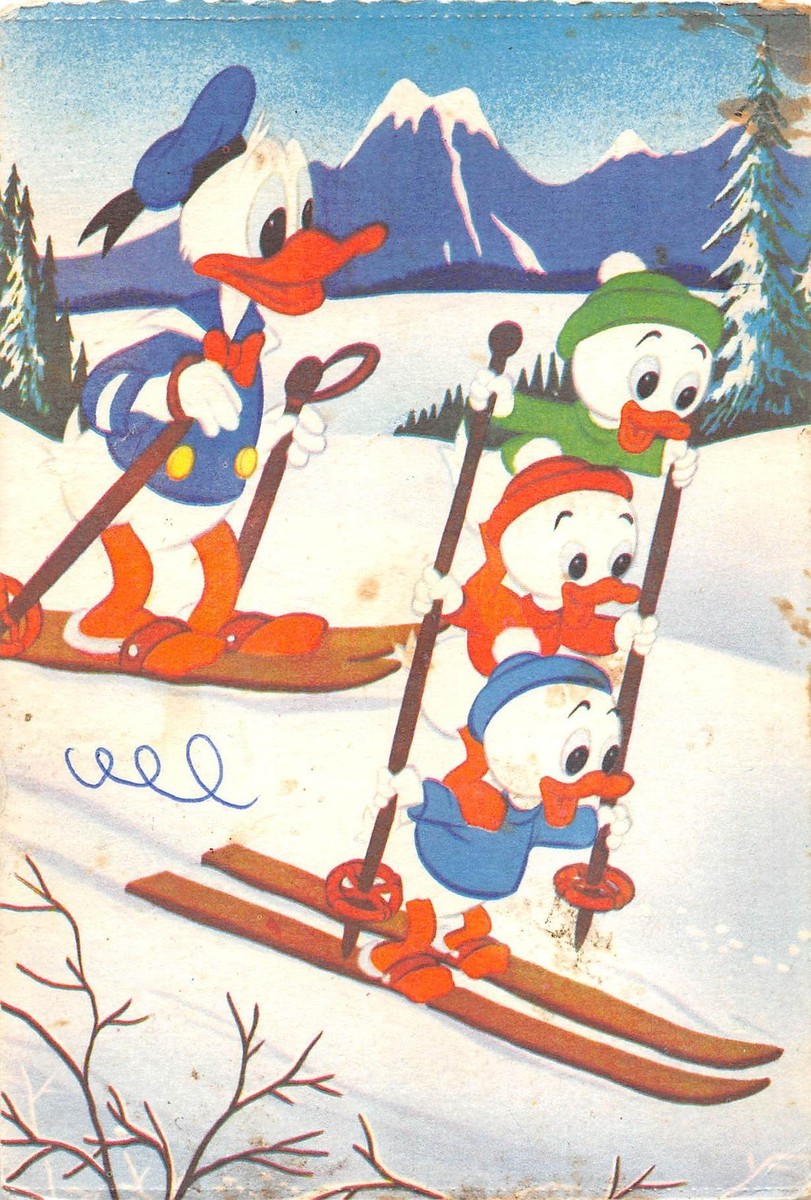 BF40837 walt disney donald duck ski cartoon movie star | eBay UK