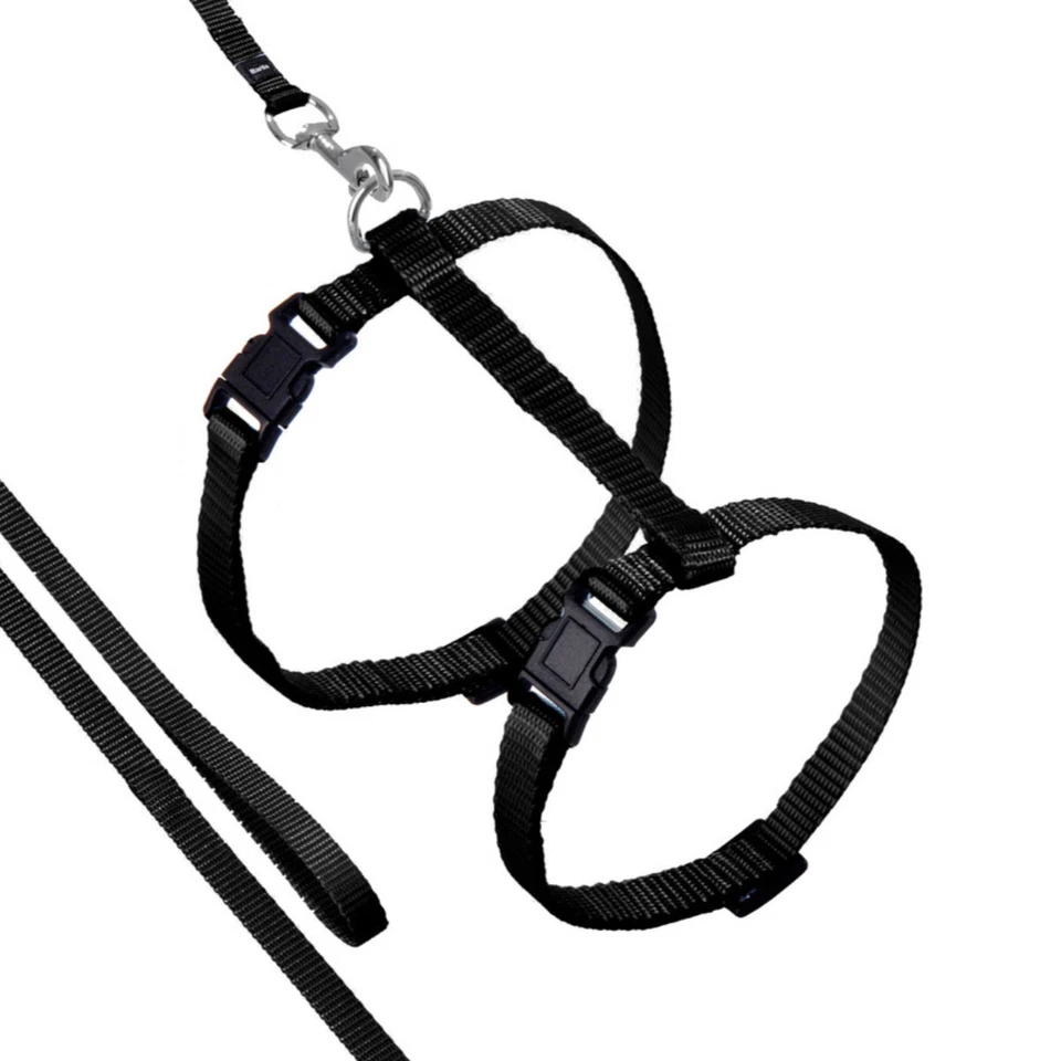 Karlie Katzengeschirr Sportiv Plus schwarz verstellbar mit Leine 110 cm