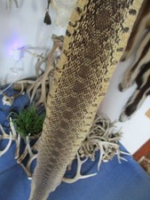 BULL snake skin snake hide DRY tanned bow wrap blanks snake art NICE 54 IN. K1