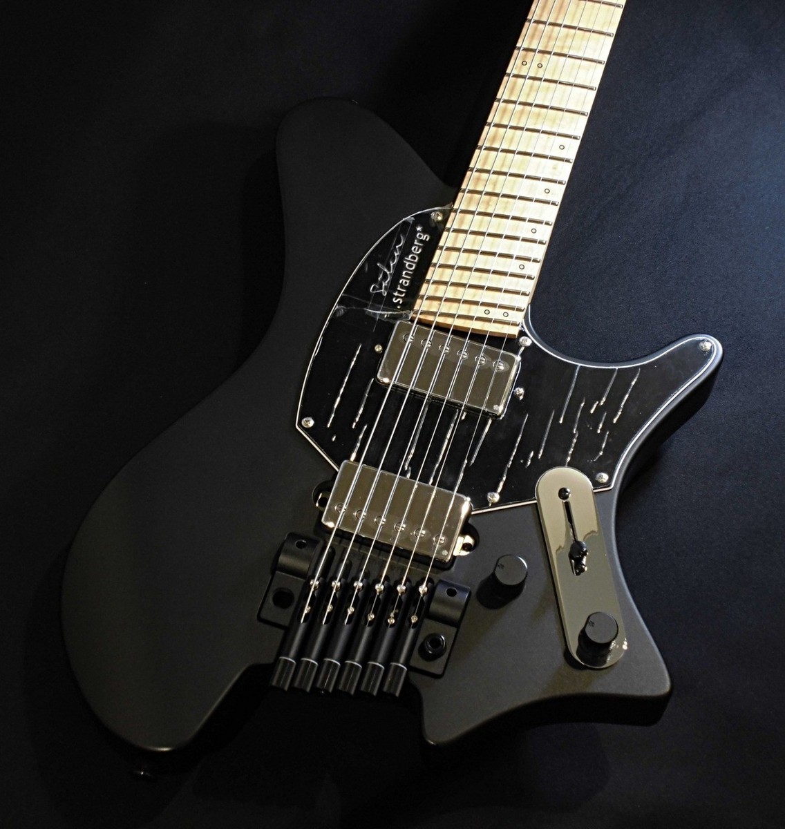 Strandberg Salen Classic NX 6 Trem Black Used!! 2.56kg | eBay