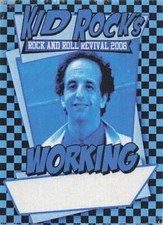 Kid Rock Backstage Pass 2008 Checkered Blue Working Pass Variant