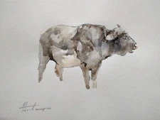 Bufallo, Animal, Watercolor artwork, Handmade, Original painting on paper