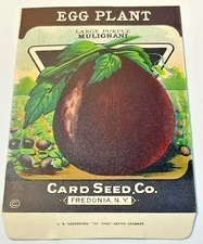 2627.23 ~ 1930’s Vintage Egg Plant Seed ~ Card Seed Co- Fredonia N.Y. NOS!