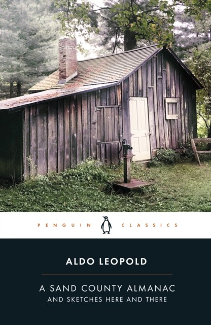 A Sand County Almanac by Aldo Leopold (Paperback Book)