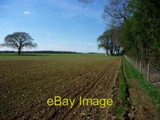 Photo 6x4 Field near East Hoe Manor Hambledon 3 c2009