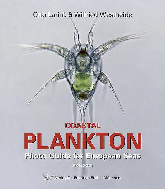 Thumbnail - Coastal Plankton Otto Larink