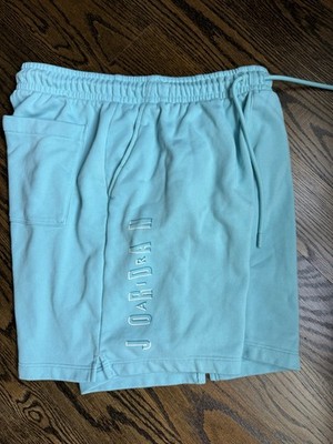 Nike Air Jordan Essentials Shorts Tiffany Blue DX9675-464 Men s Large