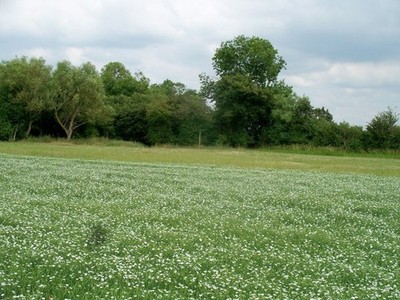 Foto A3 Wo ist der Weg Murcot Von dem um 2010 weiterhin keine Spur