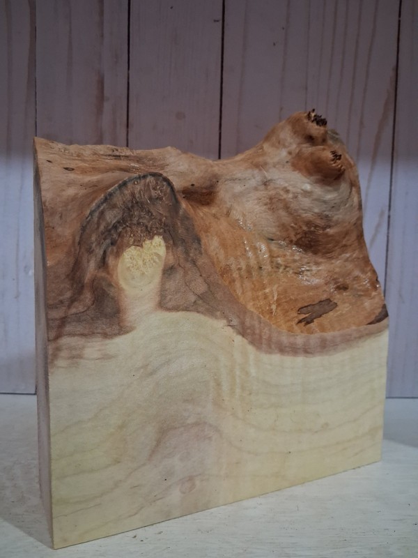 XL FIGURED Birdseye Maple Burl wood Blank, LIVE EDGE Maple, Curly Turning Wood 