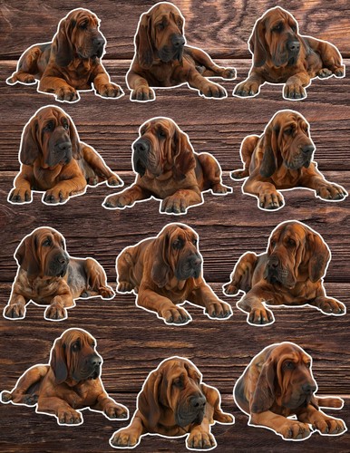 Bloodhound Dog Die Cut Vinyl Stickers Set Scrapbooking Laptop Waterbottle