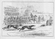 GREYHOUNDS Artificial Hare Coursing at Hendon - Antique Print 1876