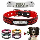 Colliers antiparasitaire pour chien