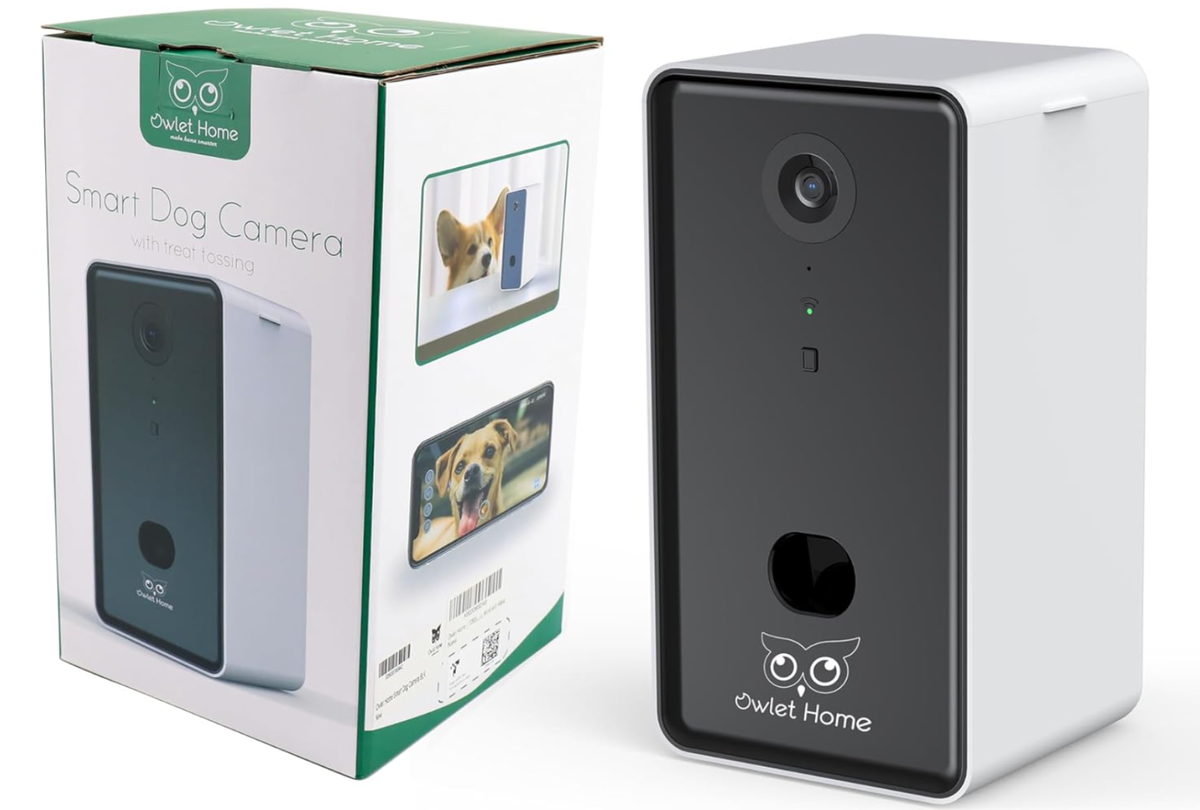 Owlet Hd Pet Camera Owlet Home Smart Dog Camera With Treat Tossing