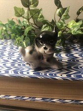 Vintage Black And White Spotted Puppy Super Adorable 
