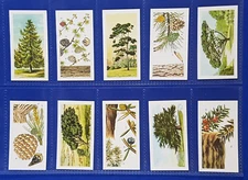 Brooke Bond PG Tips TREES IN BRITAIN - Black Back REPRINTS Full set of 50