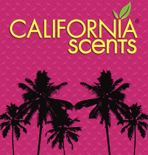 California Scents Can/Hidden Air Freshener (Coronado Cherry Scent, 1 Pack) - 第 4/4 張圖片