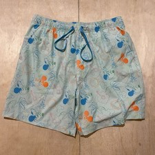Disney Mens L Swim Trunks Mickey  Minnie Hawaiian Floral Beach Lined Vacation