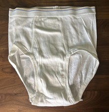 Vtg Fruit Of The Loom Cotton Brief M 34 36 White Tighty USA Gold Blue Stripe