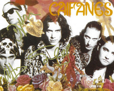 *  CAIFANES * signed 8x10 photo * SAUL, ALFONSO & DIEGO * COA *