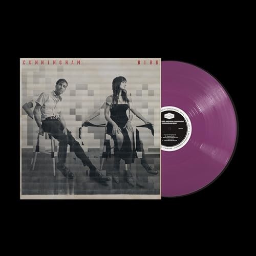 Andrew Bird Madison - Cunningham Bird - Vinyl Record 12 Inch Record - F99Z-image