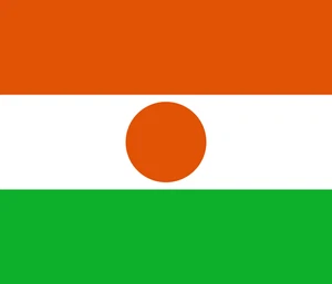 Niger Flag Self Adhesive Vinyl Sticker