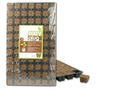 Eazy Plug 77er Anzuchttray - Anzuchtmatte Torf Stecklingsmatte EazyPlug