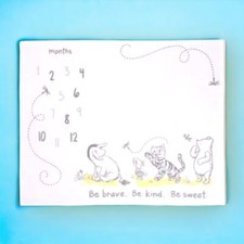 Disney Classic Winnie The Pooh Milestone Blanket. Soft And Cuddely. 40x50 Read