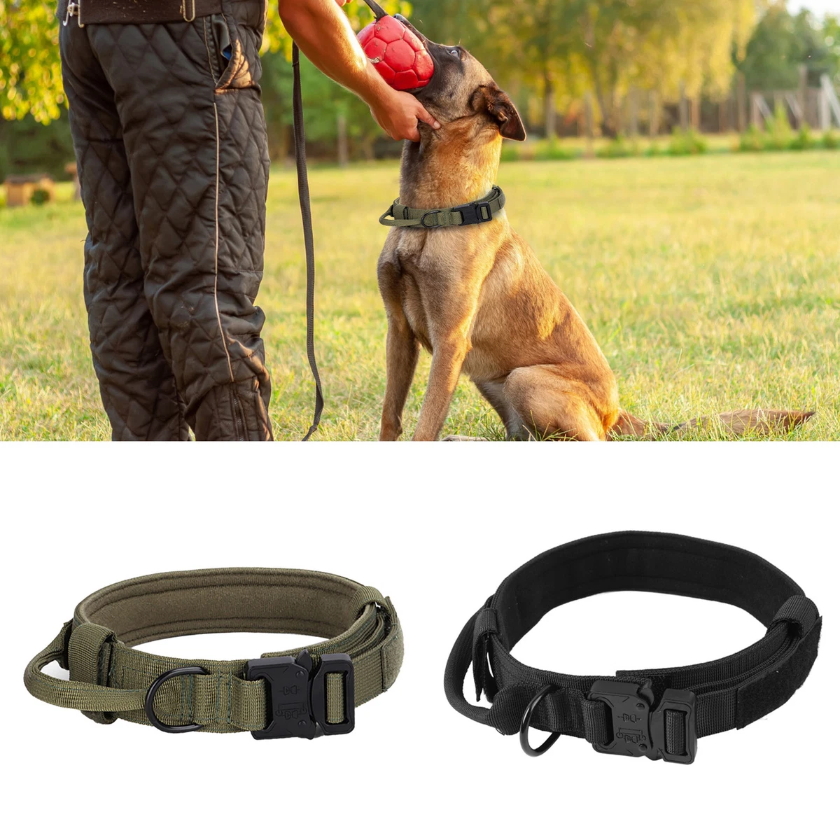 Dog training collars ebay top