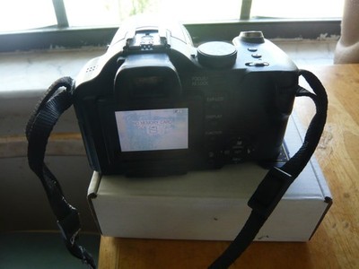 Panasonic LUMIX DMC-FZ50 10.1MP Digital Camera - Black for sale