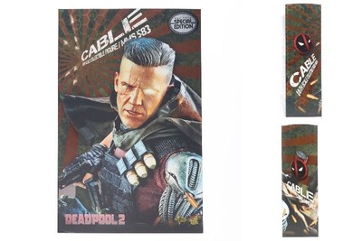 Hot Toys MMS583 *Special Edition* Deadpool 2 Cable 1/6 Gebraucht Selten Japan