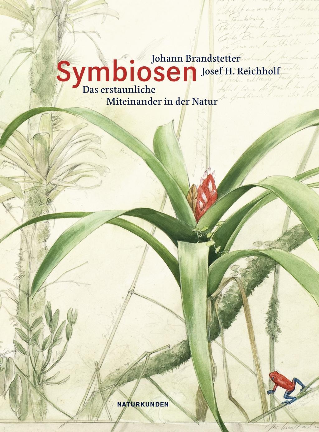 Thumbnail - Symbiosen | Johann Brandstetter (u. A.) | Buch | Naturkunden | 298 S.