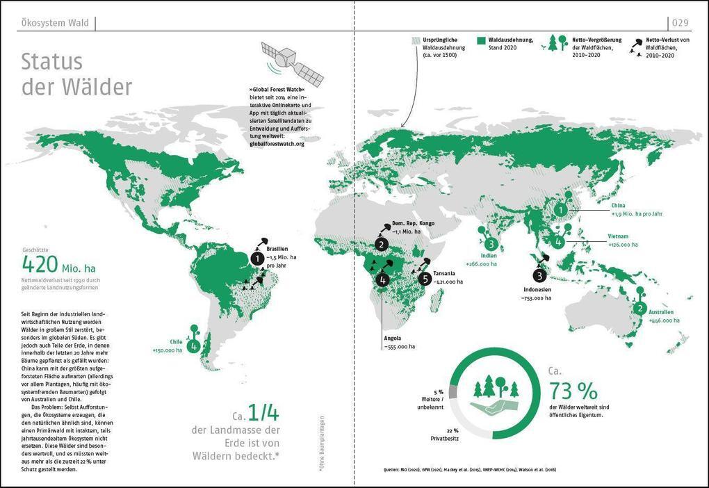 Thumbnail - Das Waldbuch | Esther Gonstalla | 2021 | Deutsch