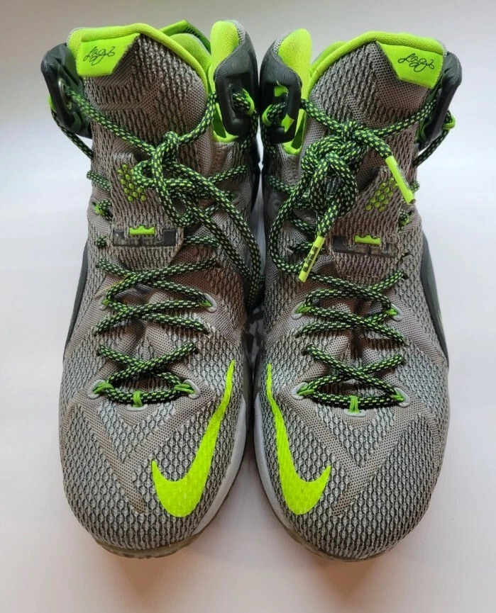 Lebron 12 store dunk force