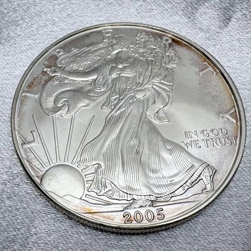 2005 Uncirculated  American Silver Eagle 1oz .999 Fine Silver Light Toning [A10]