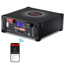 48V 100Ah LiFePO4 Lithium Battery,Built-in 100A BMS,51.2V Server Rack LiFePO4