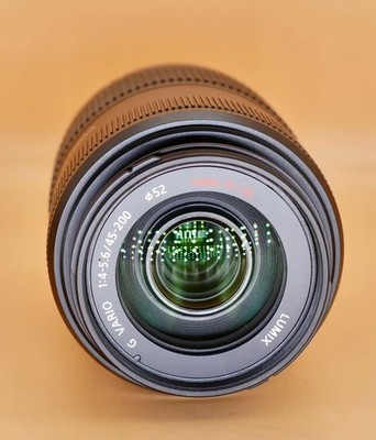 Panasonic Lumix G VARIO Lelephoto 45-200mm Zoom Lens for Micro