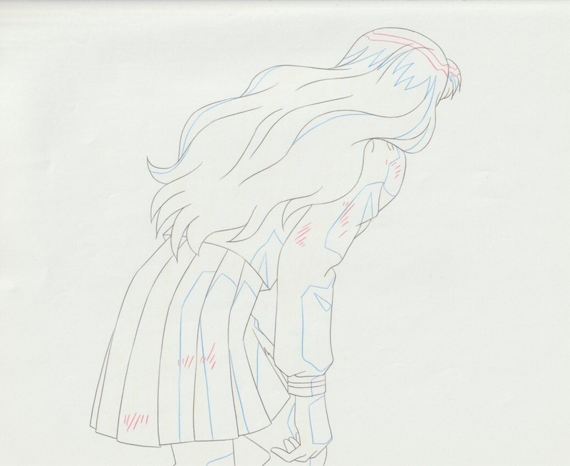 The Twelve Kingdoms Juuni Kokki Genga Douga Original Sketches Pierrot - Youko