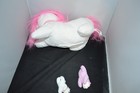 Bild 3 von 4