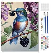 DOMROM Framed Paint by Numbers Kit for Adults Beginners, DIY Hummingbird Pain...