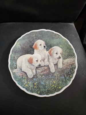 Royal Albert Bone China Sammlerteller ''Playful Puppies'' von David Ward