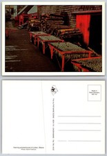 Vintage Herring Smokehouse Lubec Maine Postcard Photo Norm Famous West Germany