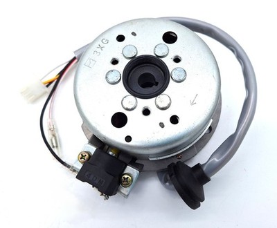 100cc ATV Stator Magneto + Schwungrad NEU kompatibel mit Cobra, Quadzilla 100