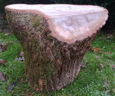 Huge tree stump table, hardwood log table, forest coffee table, tree log table
