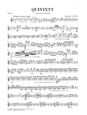 String Quintet C Major Op. Posth. 163 D 956