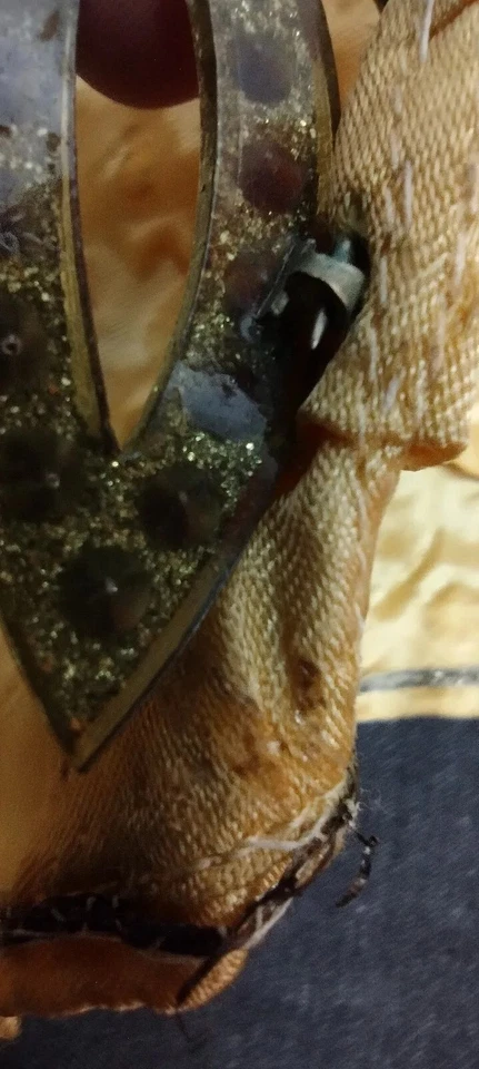 CASI ANTIGUO BROCHE AÑOS 30 3 piezas Disfraz Niñas CINTURA 20 HALLOWEEN HISTÓRICO Foto 4 de 4