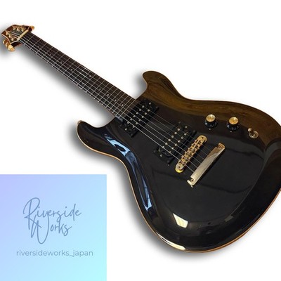FERNANDES APG-100 PRS Typ Ebenholz mit Hartschalenkoffer
